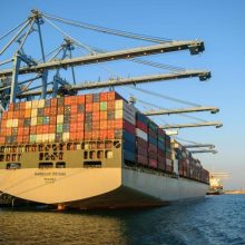 Europa responde a EE.UU.: ¿Una oportunidad para exportadores argentinos?